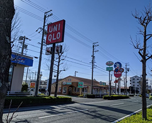 ユニクロ、西松屋などがある通りです