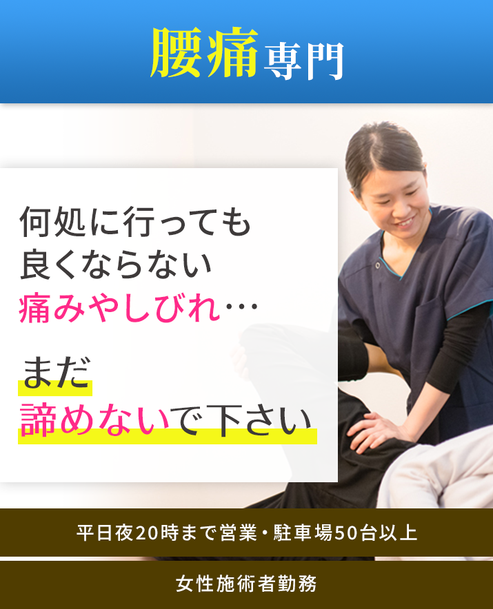 腰痛専門