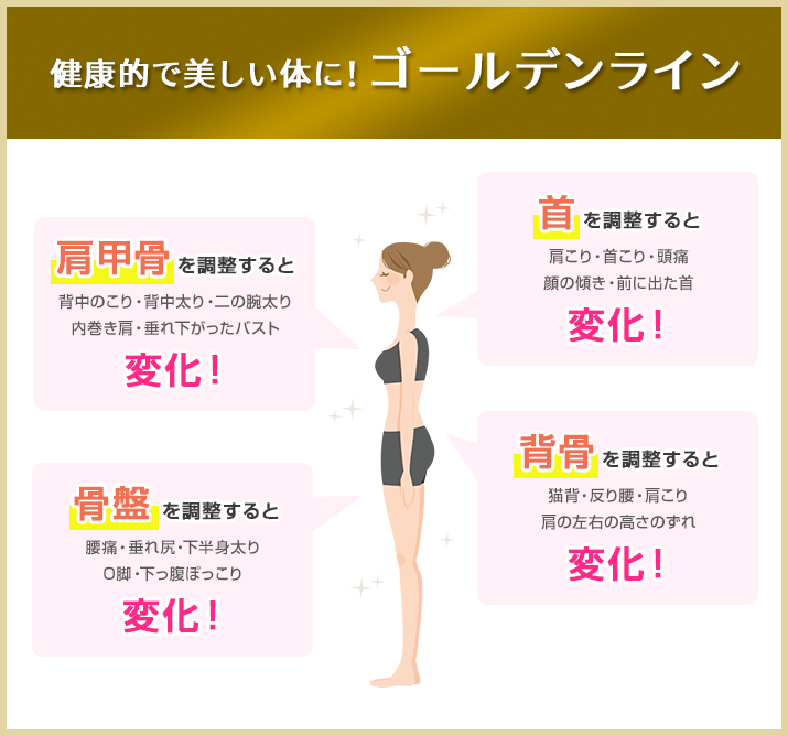 健康的で美しい体に！ゴールデンライン 